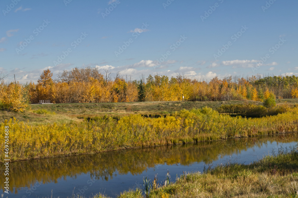 An Autumn Forest near a Calm Pond