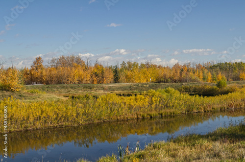 An Autumn Forest near a Calm Pond