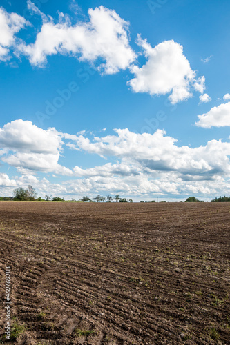 Big brown fields of fertile soil and the blue sky with white clouds © Hacki Hackisan