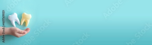 Banner child s hand holding big teeth on blue background. Baby teeth care. Dentistry and healthcare concept. Top view  flat lay. Copy space.