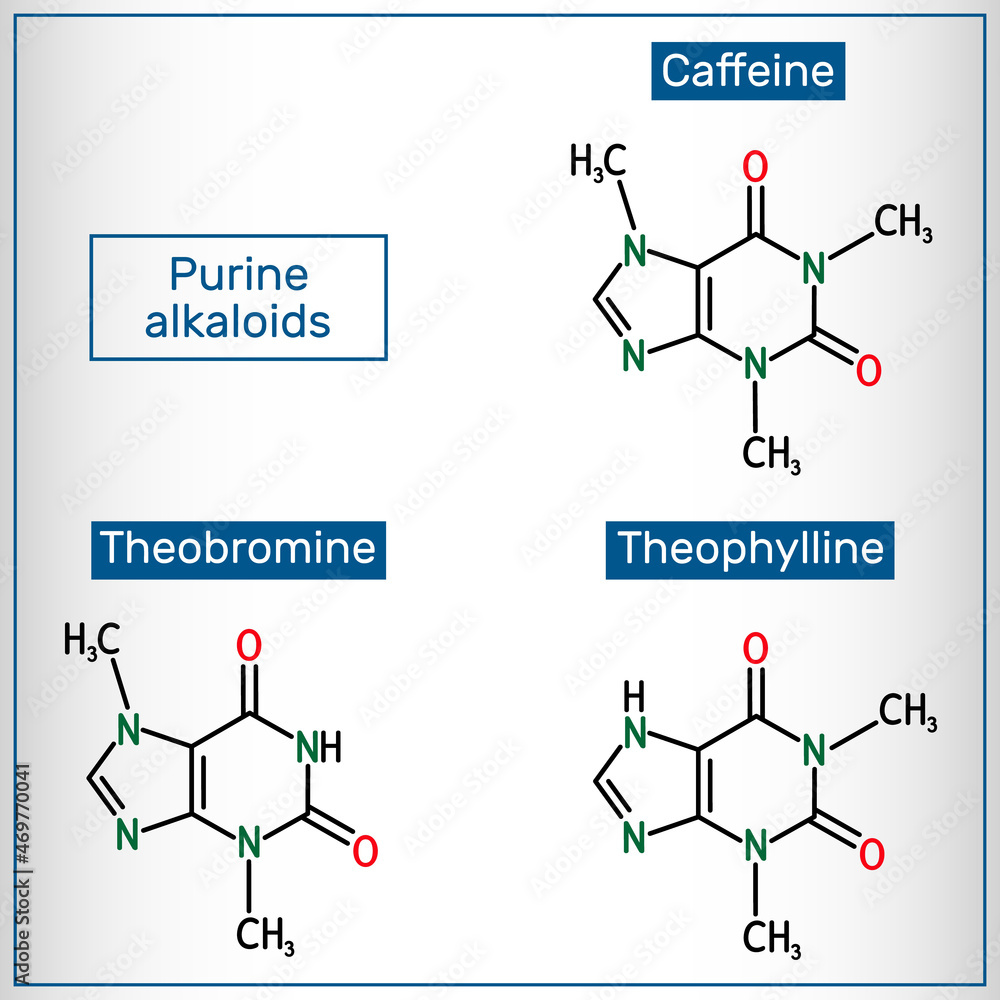 Vetor de Set of purine alkaloids. Caffeine, theophylline, theobromine ...