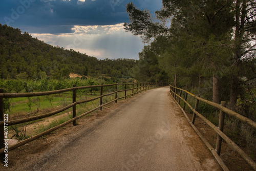 Landscape along the ebro greenway in the province of Tarragona