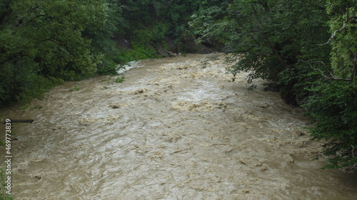 stone path in the forest