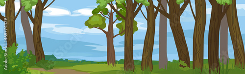Abstract summer cartoon panoramic landscape with blue sky and thick trunks of old trees in grove