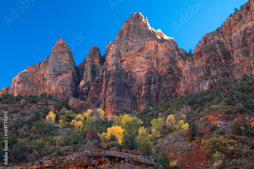 Zion Fall Colors
