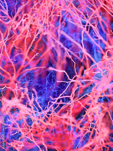 Abstract images of lines and light, similar to nerves in the brain.