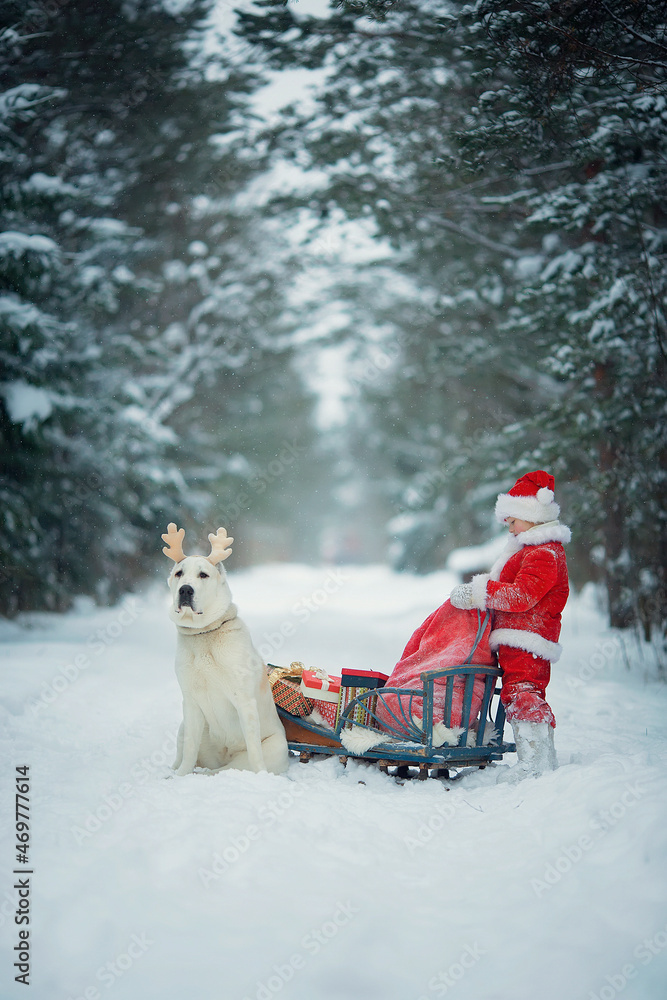 Little funny child dressed in Santa Claus red costume bringing presents in winter snowy forest. Christmas Eve. Little funny child dressed in Santa Claus red costume bringing presents in winter snowy forest. Christmas Eve.