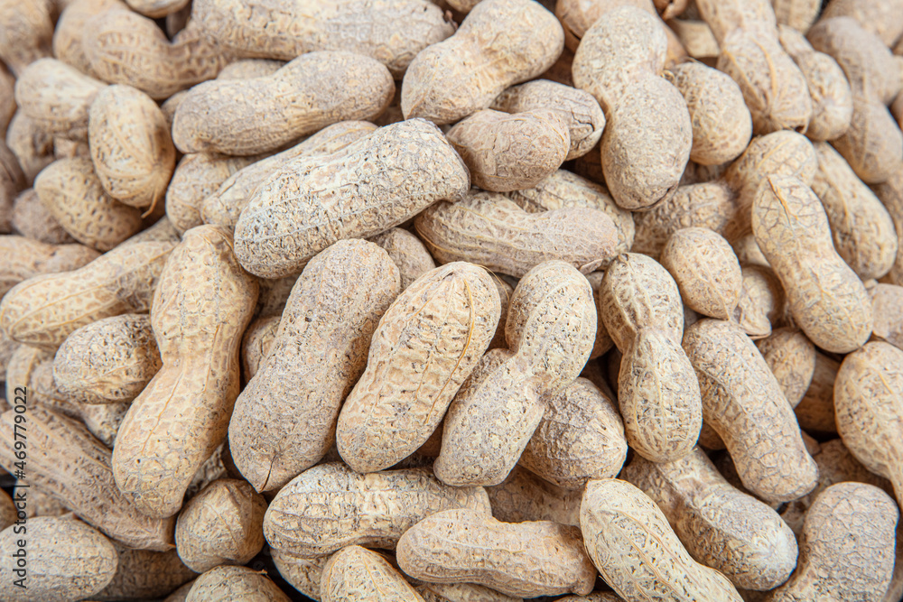 Peanuts with shell. Also groundnut or goober. Pile of unshelled, dry roasted whole pods of Arachis hypogaea, used as snack, oil crop and grain legume. Macro food photo close up from above. Peanuts with shell. Also groundnut or goober. Pile of unshelled, dry roasted whole pods of Arachis hypogaea, used as snack, oil crop and grain legume. Macro food photo close up from above.