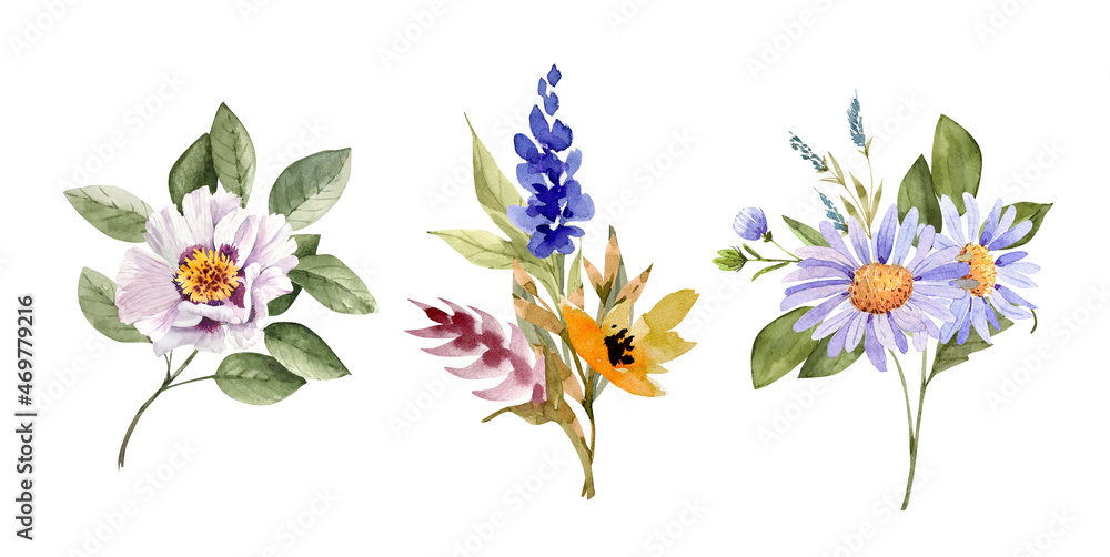 set of delicate watercolor multicolored flowers and plants hand-painted	
