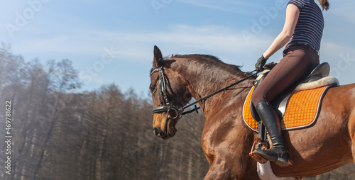 Foto girl riding horseback in summer day