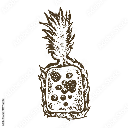 Image and print of tropical fruit pineapple. Exotic dish sketch. The cut fruit is filled with berries and mousse.