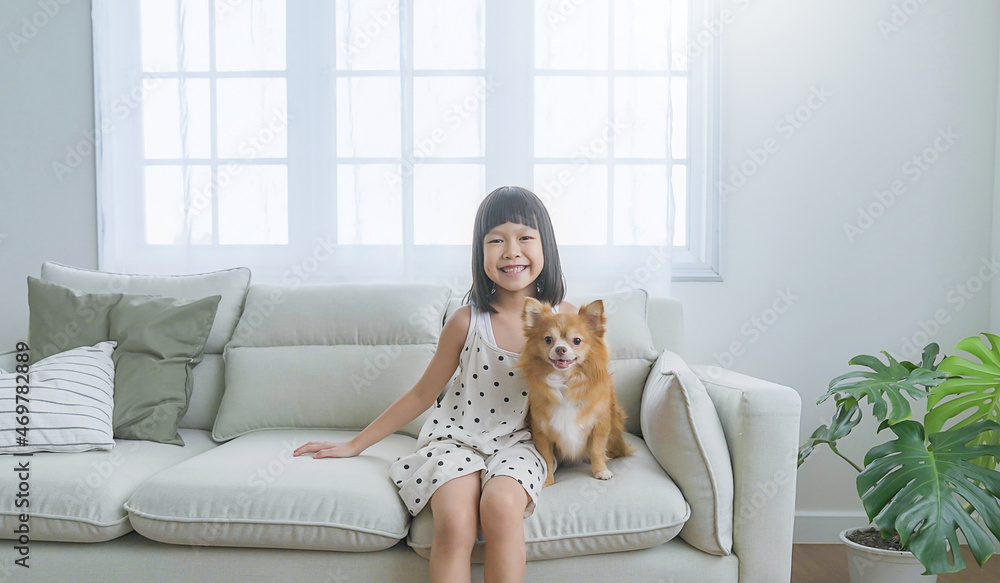 Portrait of cute young little asian woman playing with lovely friendly dog. Pretty cheerful girl in siting with a dog on sofa, lifestyle in living room. Childhood education concept Portrait of cute young little asian woman playing with lovely friendly dog. Pretty cheerful girl in siting with a dog on sofa, lifestyle in living room. Childhood education concept