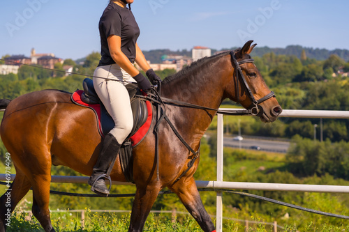 Unrecognizable girl riding on a horse riding with a brown horse, dressed black rider with safety cap