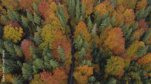 Wallpaper Mural Aerial view of  a car driving on a colorful mountain road cutting through the deciduous forest Torontodigital.ca