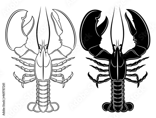 Vector set of detailed outline lobster and silhouette, in black color, isolated on white background.