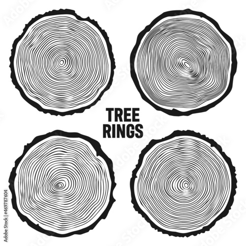 Round tree trunk cuts, sawn pine or oak slices, lumber. Saw cut timber, wood. Wooden texture with tree rings. Hand drawn sketch. Vector illustration