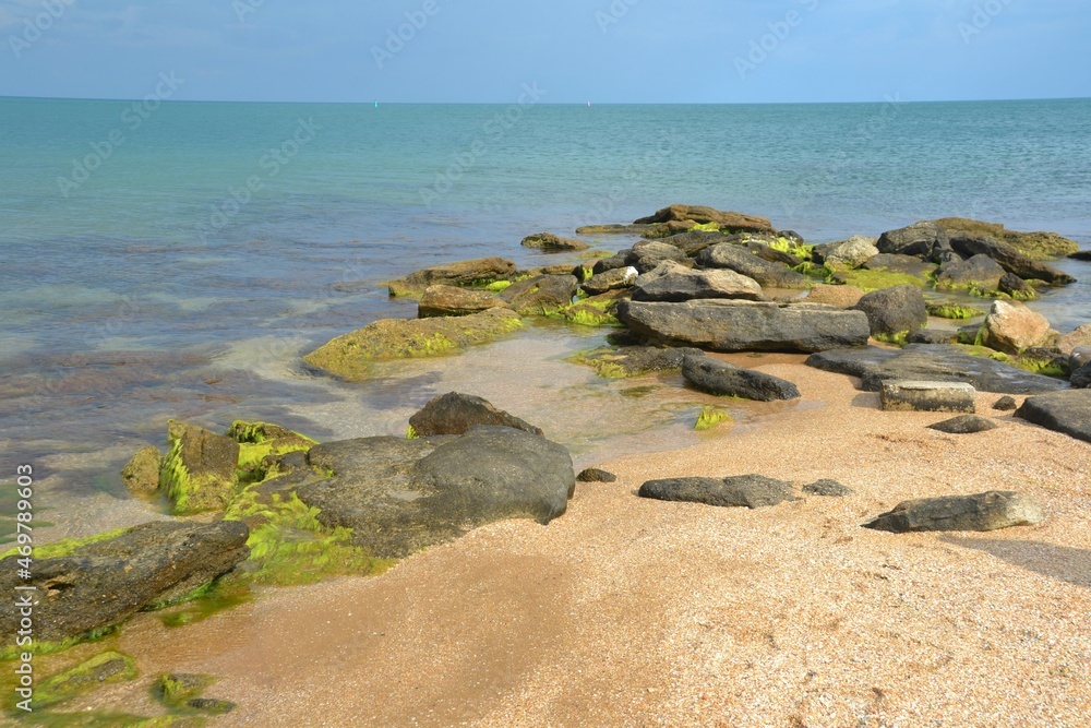 Beautiful stones with algae in the sea