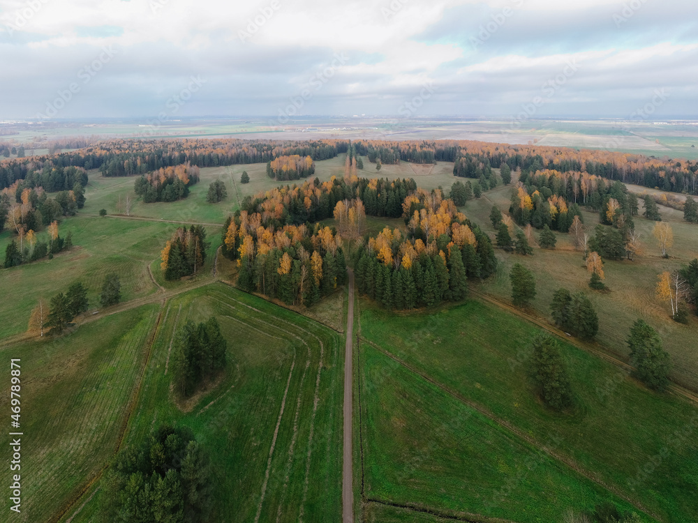 Aerial view of nap park in pavlovsk, golden autumn, tree tops from a bird's eye view, golden crowns of trees, path in the forest road in a beautiful autumn field.