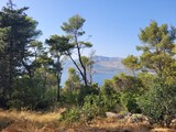 Forêt en bord de mer avec vue sur les montagnes - Croatie
