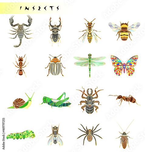 Abstract insects illustration