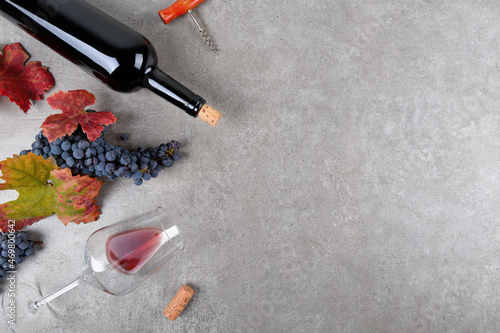 Red wine bottle with bunch of Primitivo grape, green and red fall grape's leaves, glass of wine and corkscrew on on gray stone table, concept wine flat lay backgroud, copy space