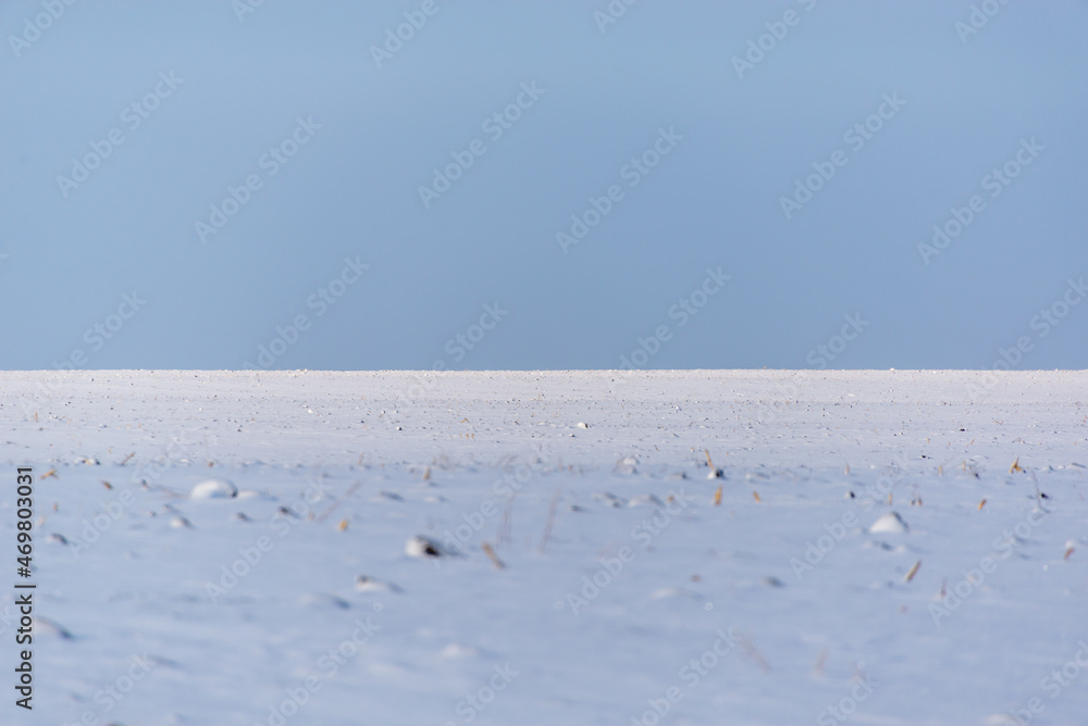 Farm field covered with snow in winter. Farm field covered with snow in winter.
