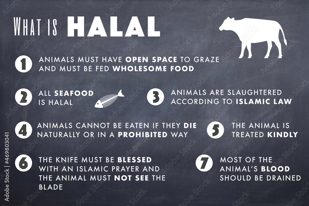 Infographic Explaining What Is Halal Meat Or Food Stock Illustration 