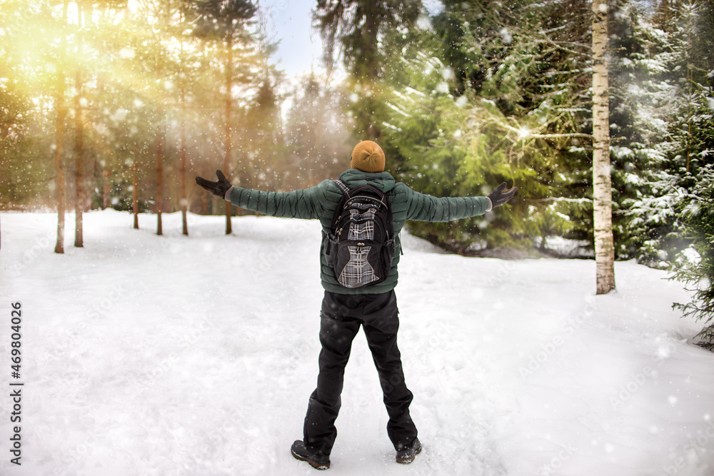 Man with a backpack is engaged in tourism and walks through a winter pine forest
