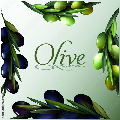 premium black and green olive vectoral drawing illustration photo