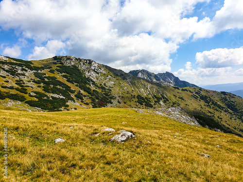 landscape in the mountains, Iorgovanului Mountains, Romania  photo