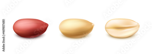 vector icon Peahnuts set with or without shell and cut in half