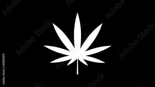 medical marijuana or cannabis leaf icon on glitch old screen display animation.