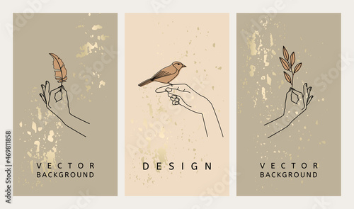 Hand drawn vector collection of mystical stories templates or banner with hands, feather and bird