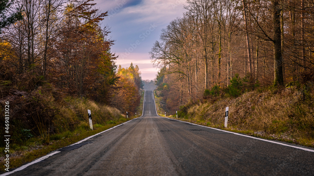 Straße durch den Pfälzer Wald