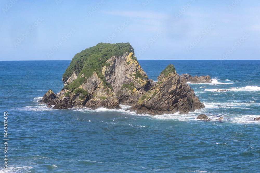 Wall Island at Cape Foulwind in New Zealand