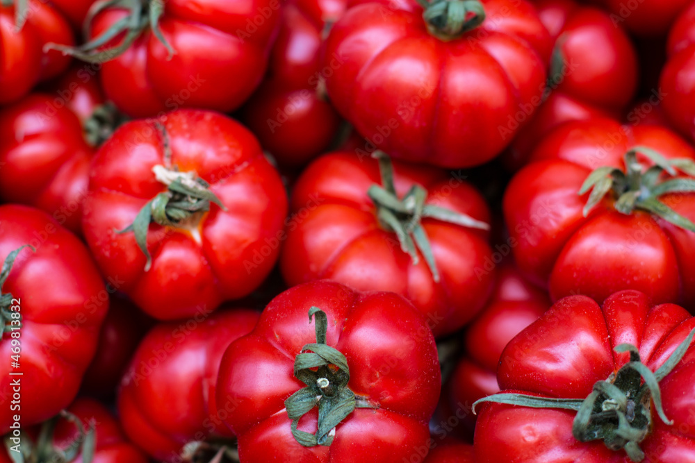 Red Tomatoes Red Tomatoes