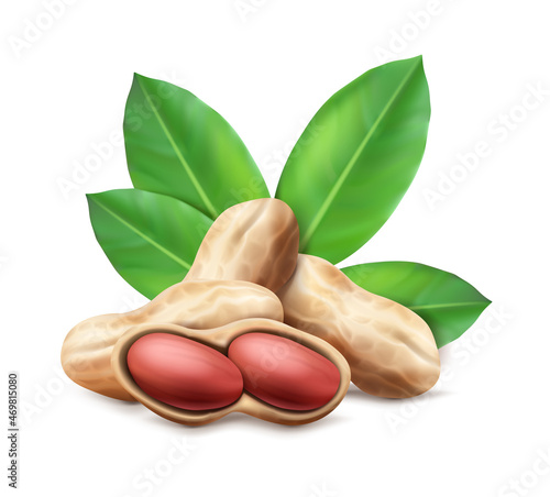 3d realistic vector icon. Peanuts in the shell and unshelled with leaves. Composition for brand, advertisement and labels.