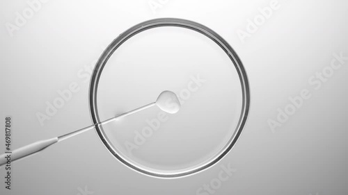 Top view macro shot of lab dropper injects oil into transparent fluid in petri dish on light grey background | Abstract skincare products formulating concept