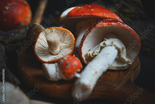 mushrooms on a wooden background