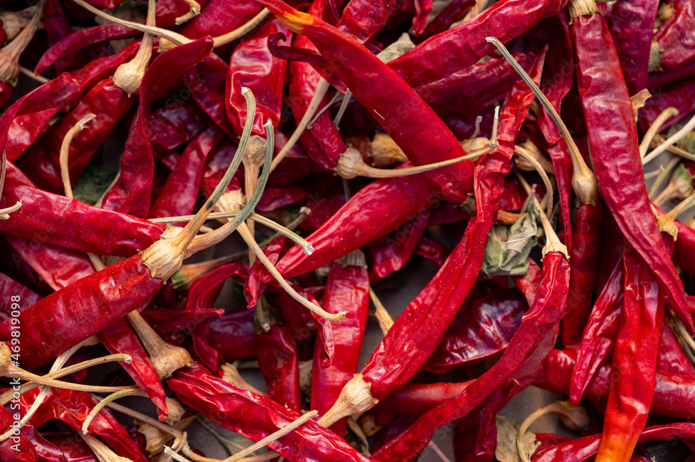 Food background with dried red hot chili peppers Food background with dried red hot chili peppers