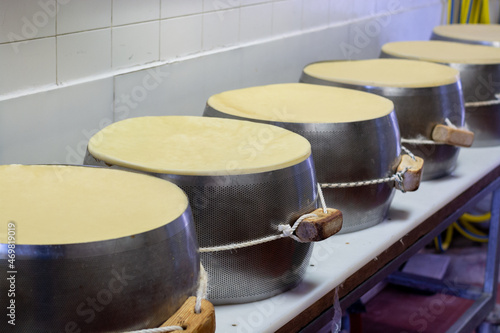 Process of making parmigiano-reggiano parmesan cheese on small cheese farm in Parma, Italy, stainless steel buckles with cheese wheels in salting room