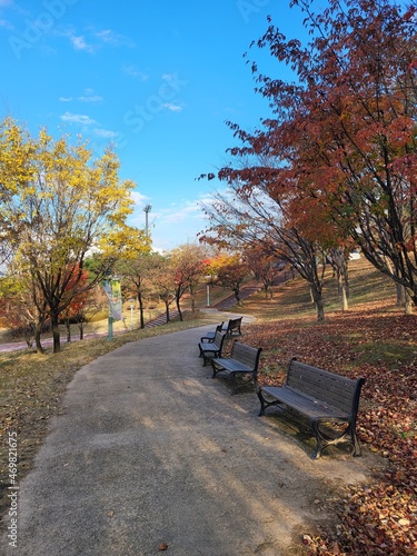 bench in autumn park © 동렬 윤
