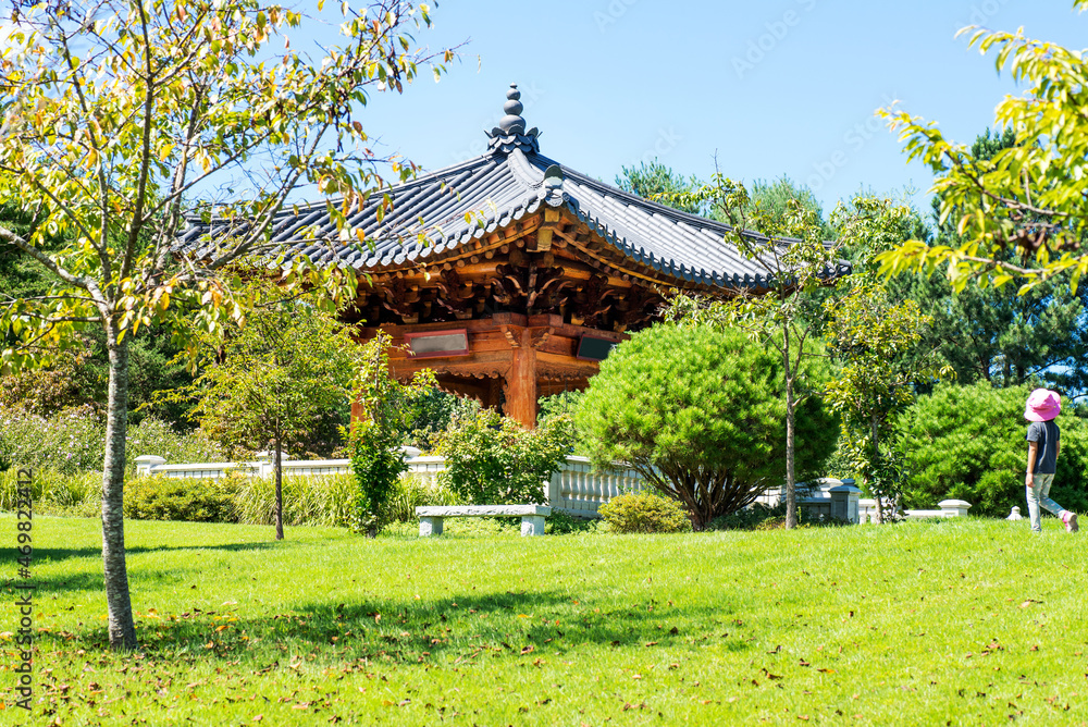 Korean pagoda in summer park