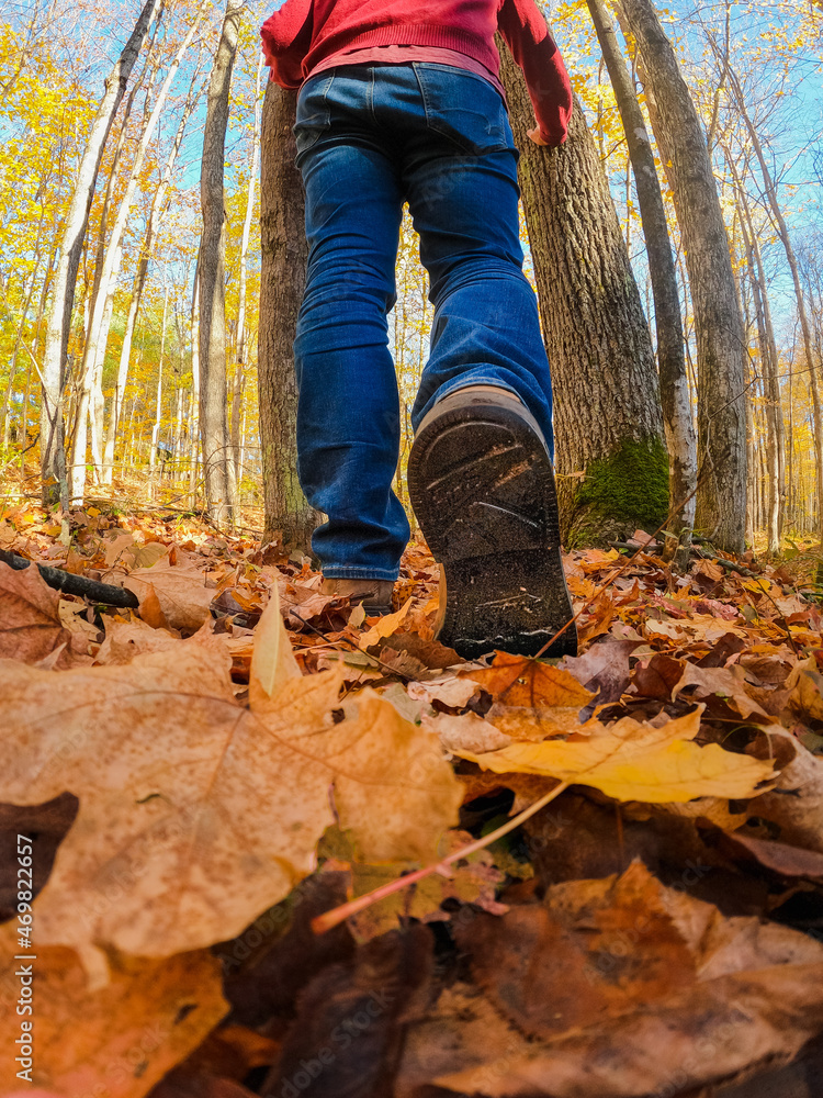 Cropped close up of a man's legs on a leafy hiking trail. Cropped close up of a man's legs on a leafy hiking trail.