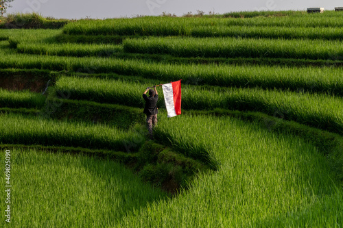 A beautiful view of a man carrying a red and white flag in the middle of a green rice field. Photos are out of focus and blurry.