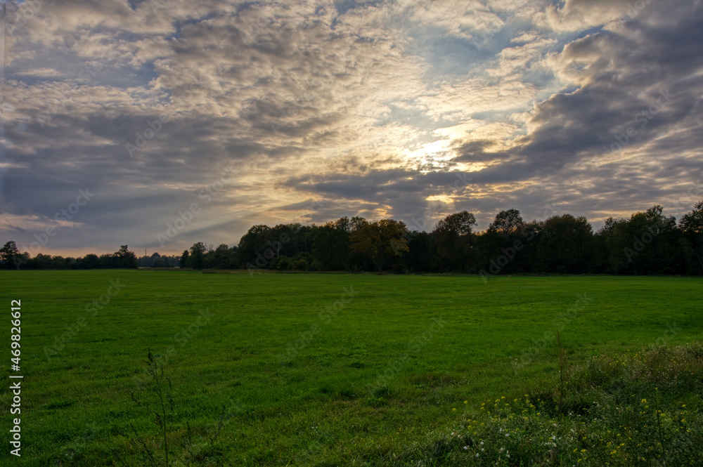 Fototapeta premium field with sun
