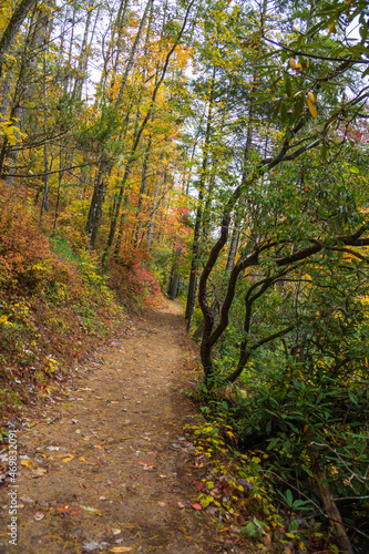 Hiking trail in the fall in the Great Smoky Mountains National Park, Tennessee