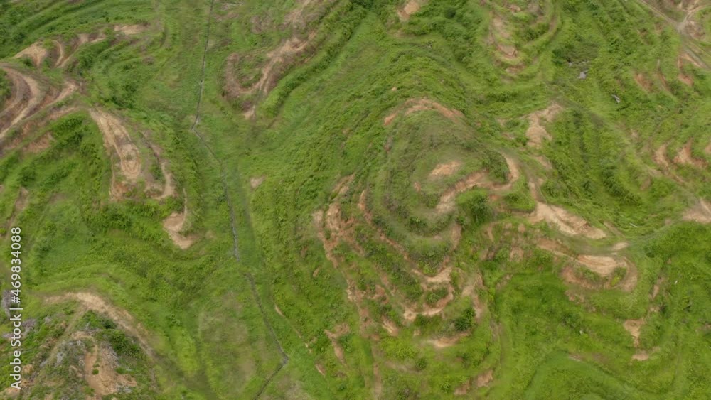 Close-up spin aerial shot of young palm trees in oil plantation in Malaysian, the drone go down to see closeup Close-up spin aerial shot of young palm trees in oil plantation in Malaysian, the drone go down to see closeup