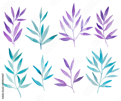 Fototapeta Naklejka Na Ścianę i Meble -  Watercolor blue and purple branches isolated on white background. Hand painted design elements for decor and invitations.