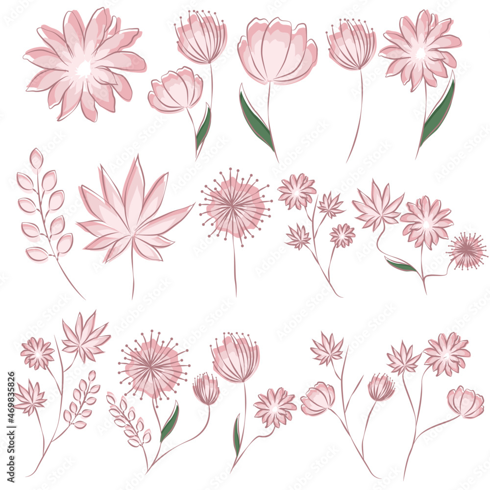 flower illustration 